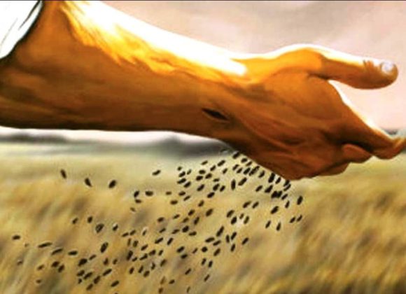 La parola del giorno “ascoltate la parabola del seminatore…”
