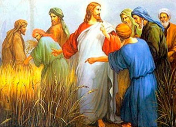 Parola della Domenica “Il regno dei cieli è simile” Parola della Domenica “Il regno dei cieli è simile”