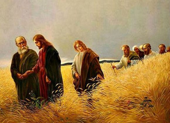 Parola della Domenica: “Noi, pertanto, siamo i figli della risurrezione” Parola della Domenica: “Noi, pertanto, siamo i figli della risurrezione”