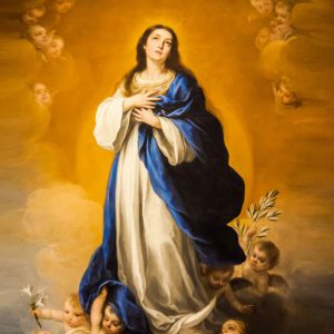 Meditazione – L’Immacolata e la bellezza in Dio