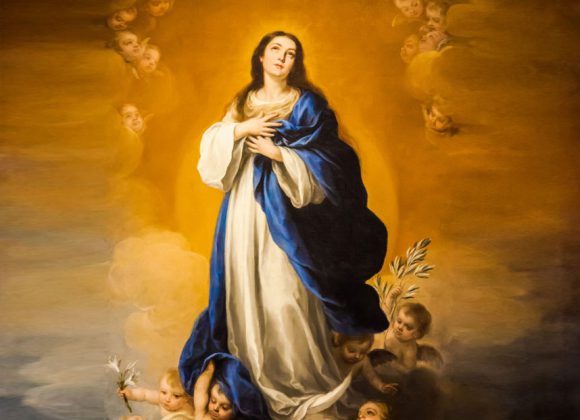Meditazione – L’Immacolata e la bellezza in Dio Meditazione – L’Immacolata e la bellezza in Dio