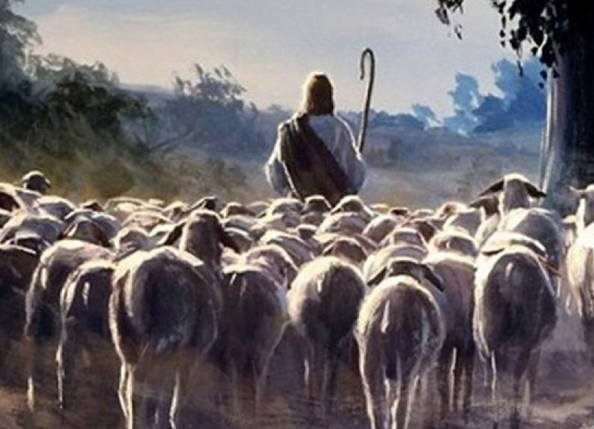 La parola del giorno “il Pastore grande delle pecore…”